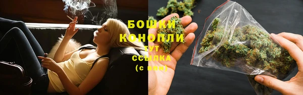 spice Алзамай