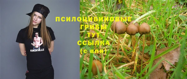 spice Алзамай