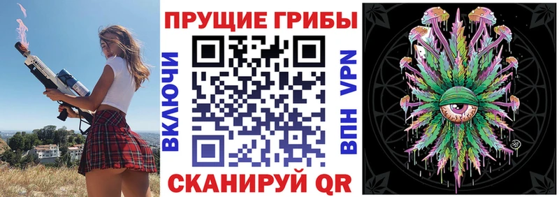 Псилоцибиновые грибы прущие грибы  Покачи 